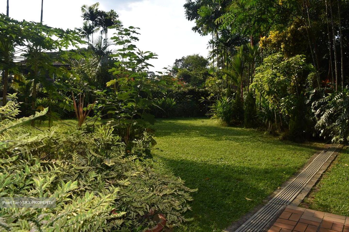 Ewart Park (D10), Detached #624512961